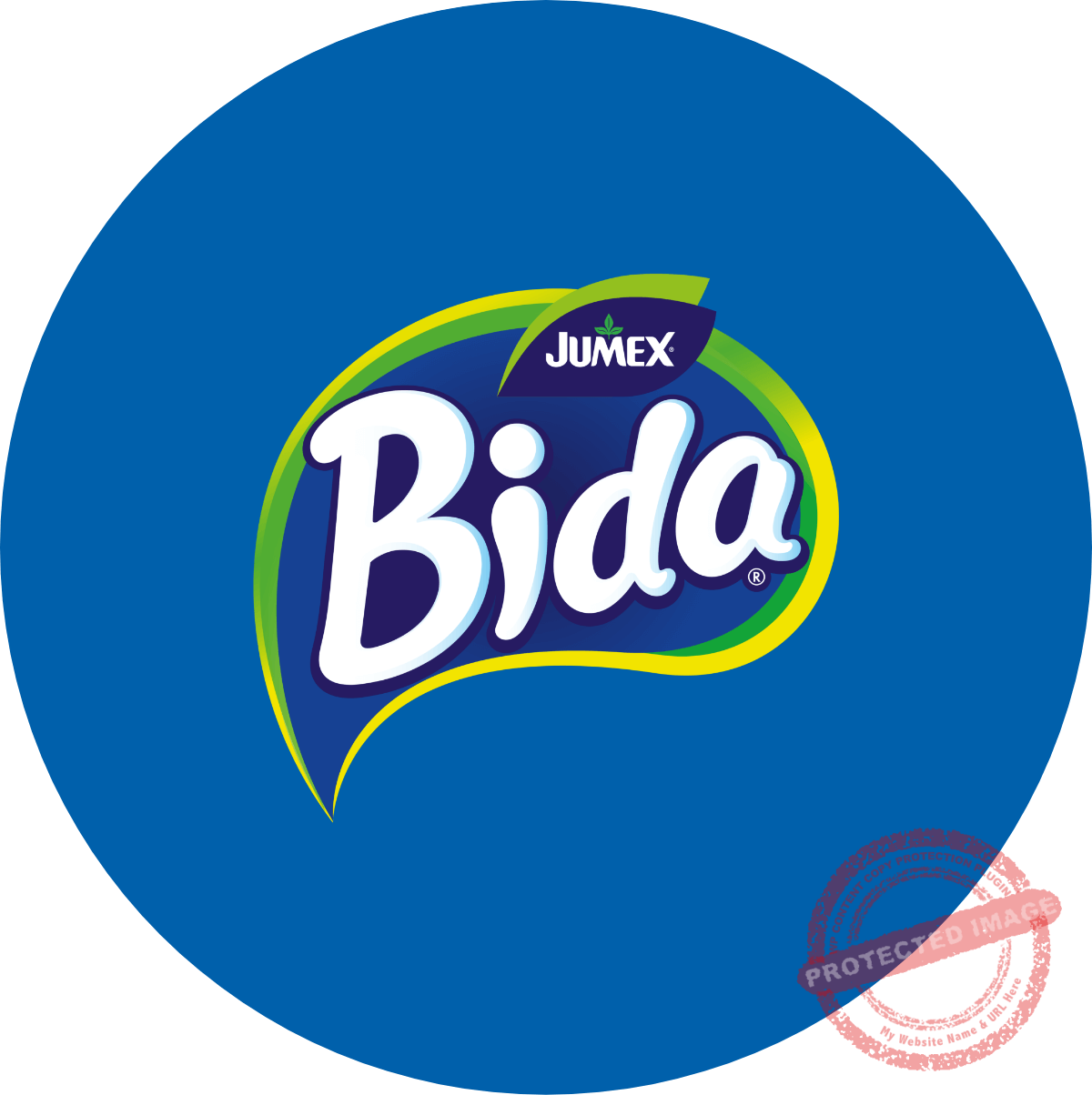 Bida